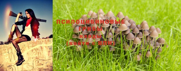 молекула духа Струнино