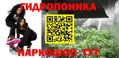 крисы Заволжье