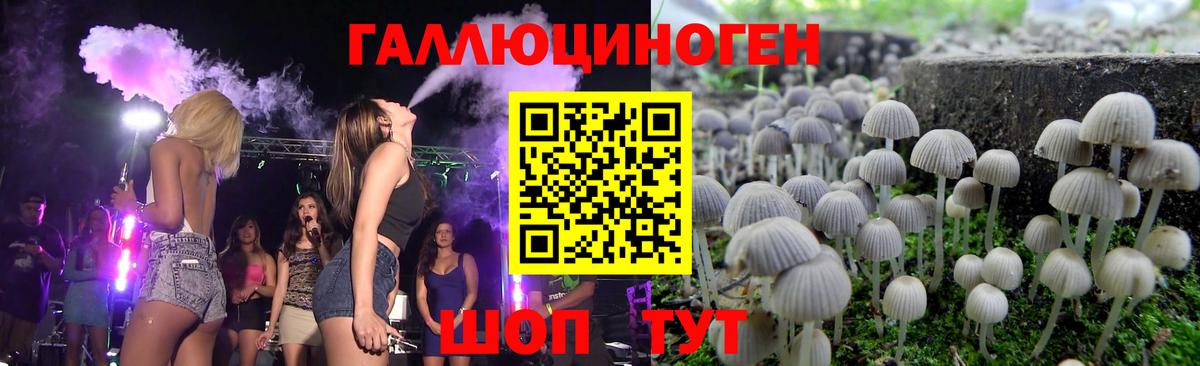 Псилоцибиновые грибы Magic Shrooms  Вход с VPN  купить наркоту  Видное 